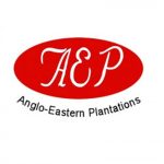 Anglo Eastern Plantations
