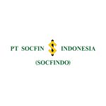 Socfindo